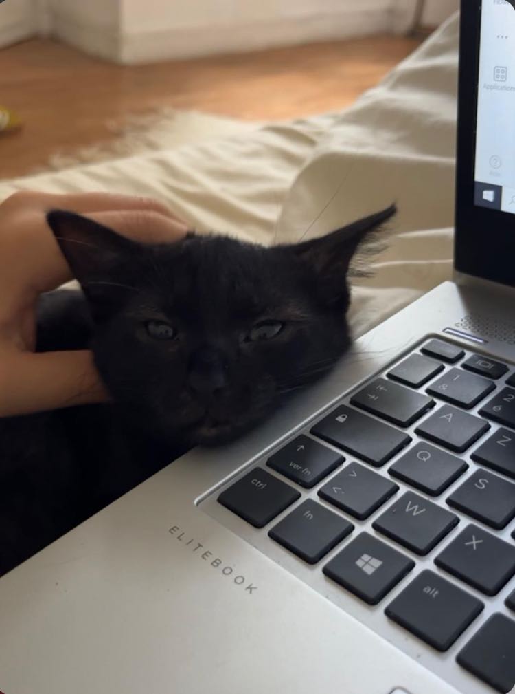 384506068_1503764207047119_5288415608373301113_n