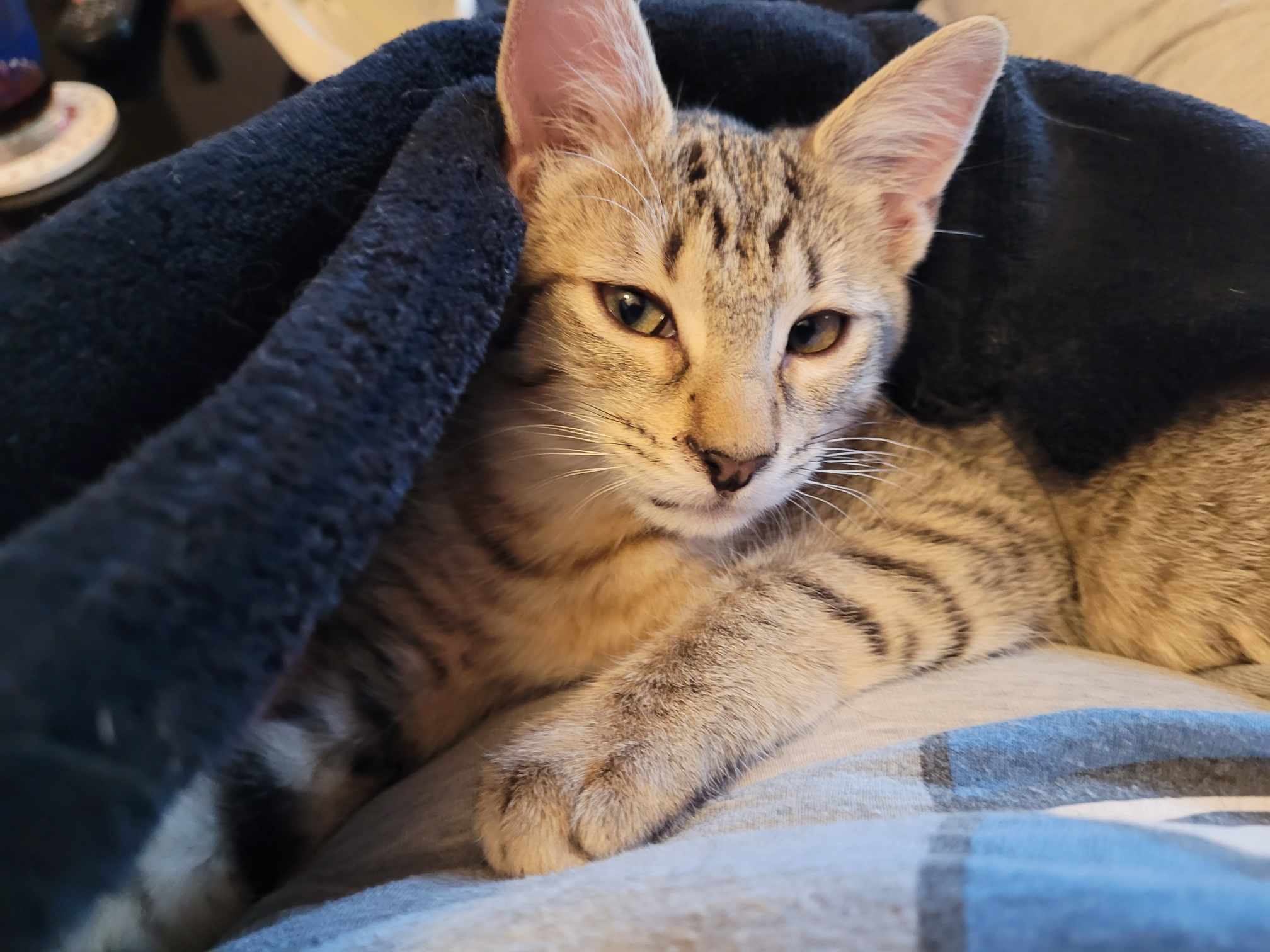 384554656_2518116738356046_3801972454067385731_n