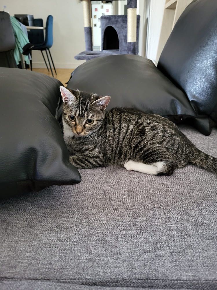 385388618_335422708992571_2382557892587251511_n