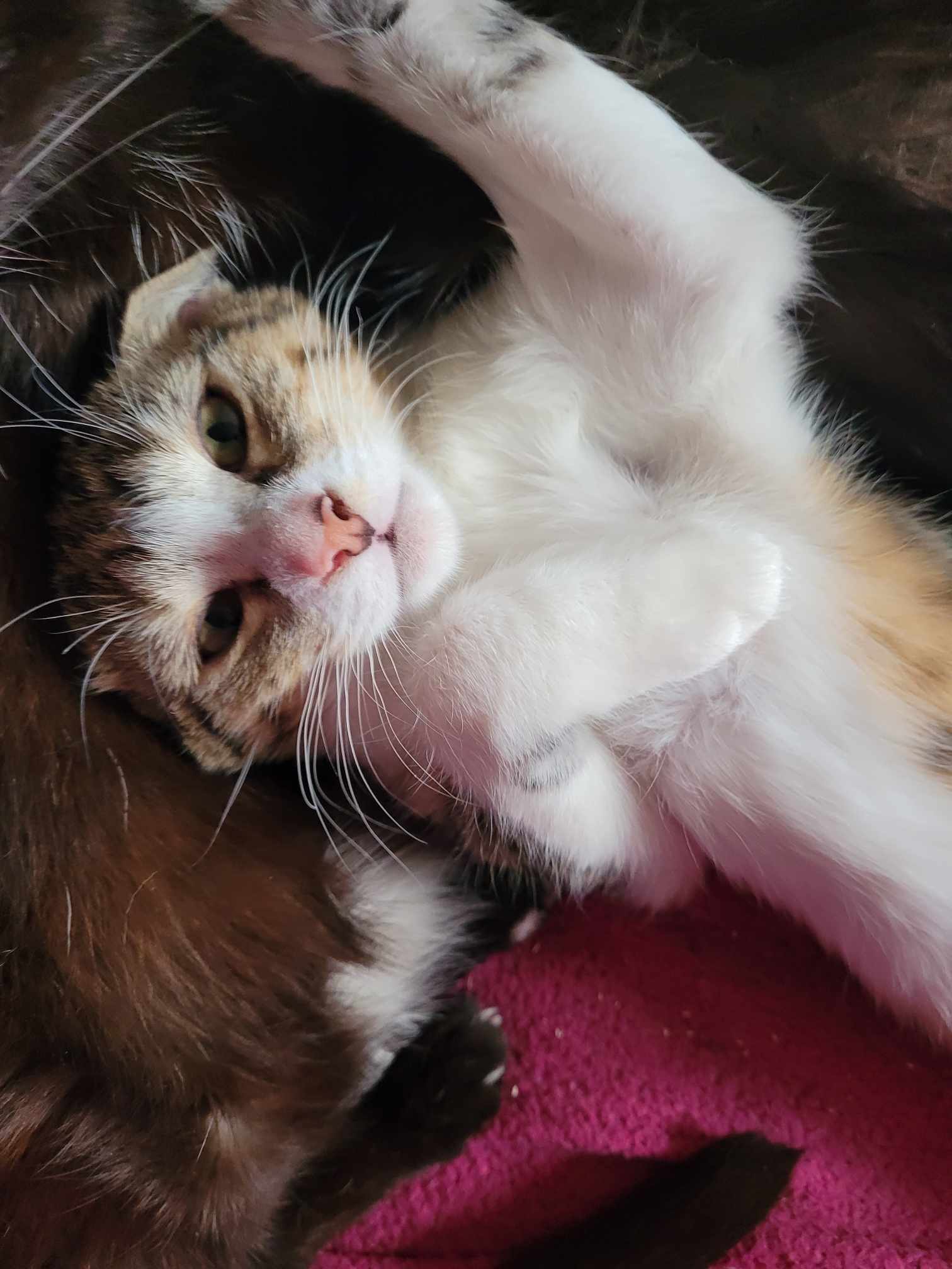 385541671_343788511687134_279692384863694932_n