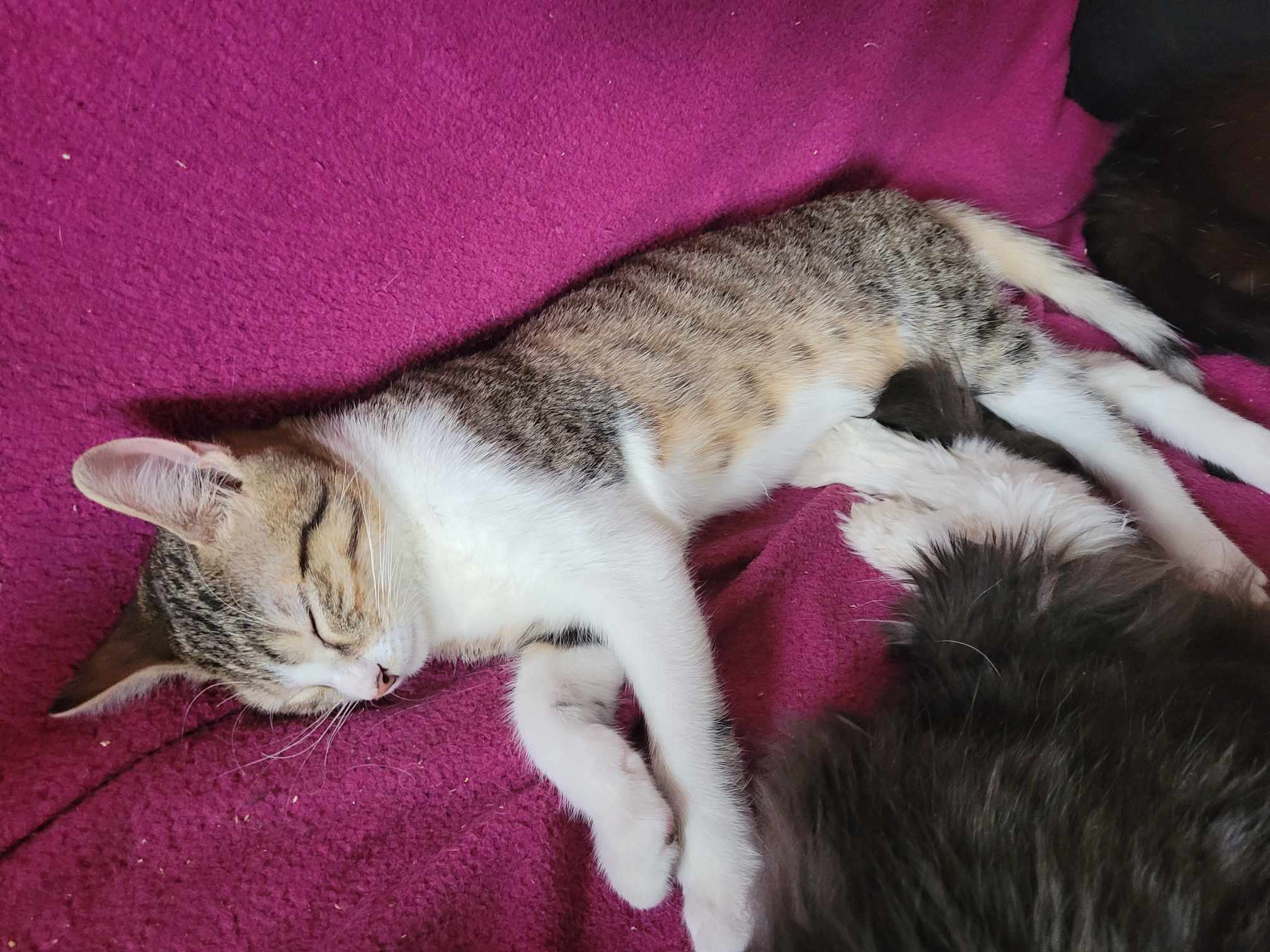 385559724_1841212049662586_7323177388323838216_n