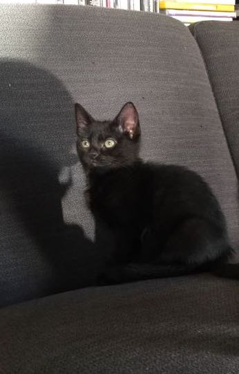 386856329_318618524405199_1814606821261319501_n-copie