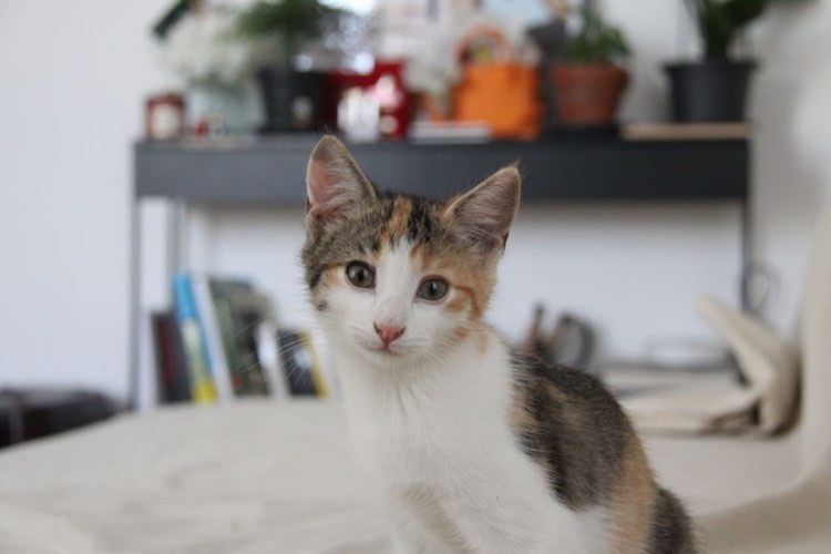 386892218_659575086322724_8672317360758528922_n