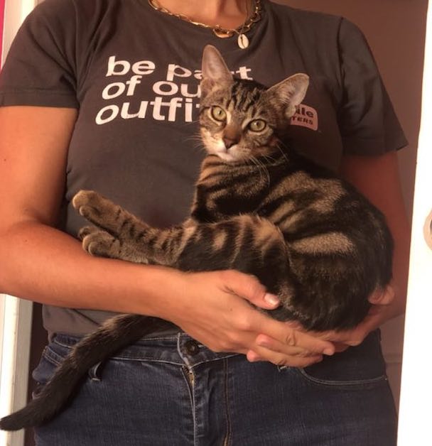 386895576_259046460458693_476268180920291343_n