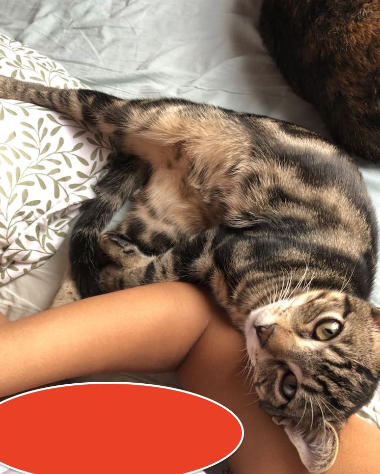 387322517_881001853450910_2267278766922666719_n