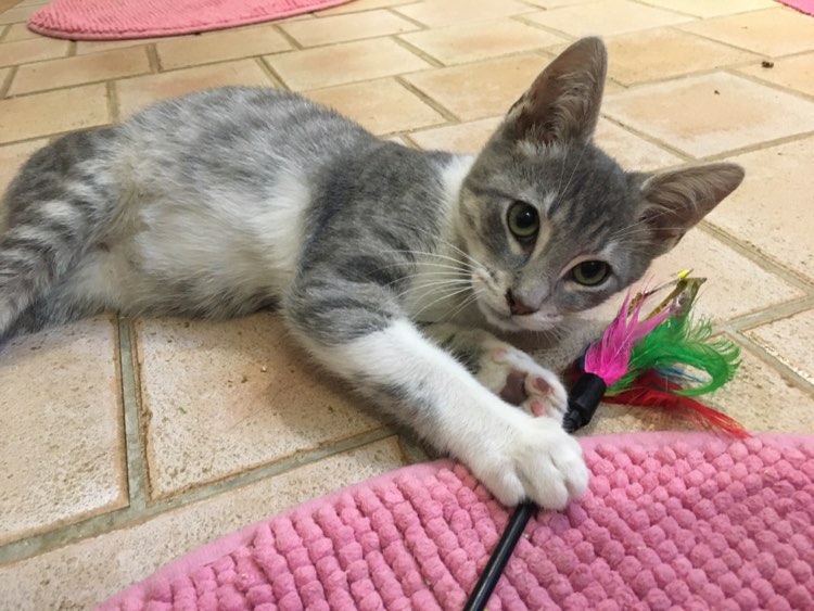 387417923_3610123329270029_2579070528156084697_n