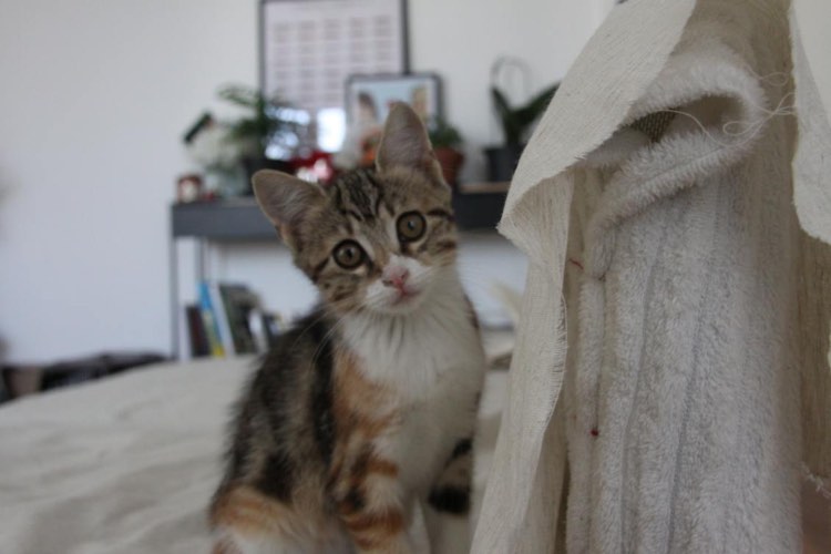 387448256_231657656559879_4304612431187909457_n