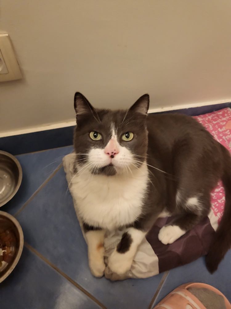 387472769_2210174549329267_8680687971456701_n