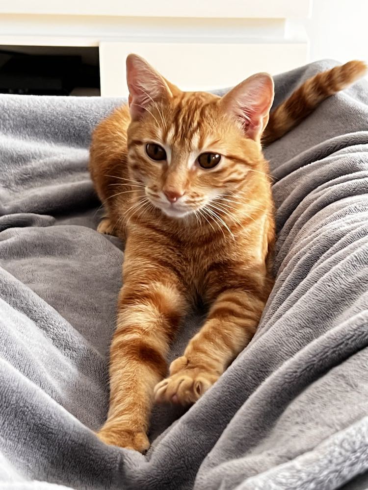 387472879_6860216884034454_6180597363986042715_n