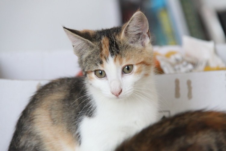 387477649_720842476736322_497733057352163858_n