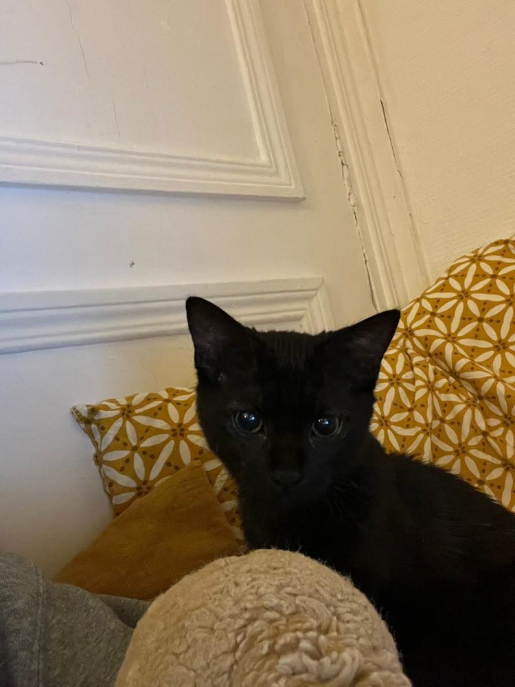 387477901_3563832493889239_5421656424051496559_n