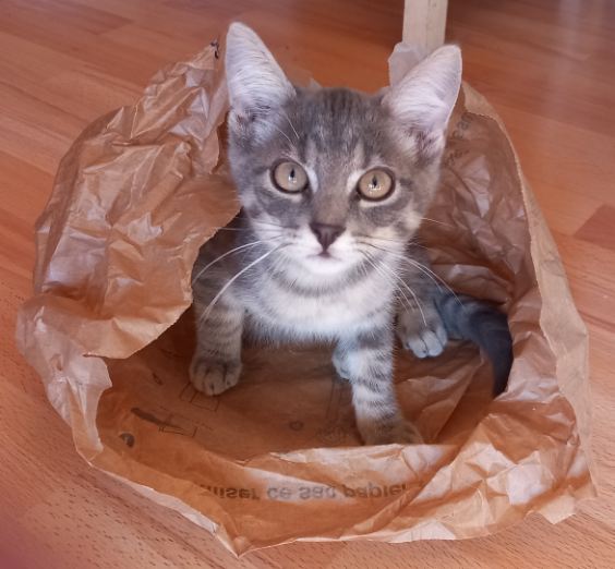 387484500_875816540812396_5204123349433902835_n