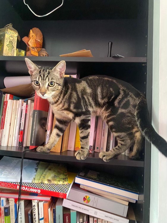 387488683_302440469163279_6055791943935476669_n