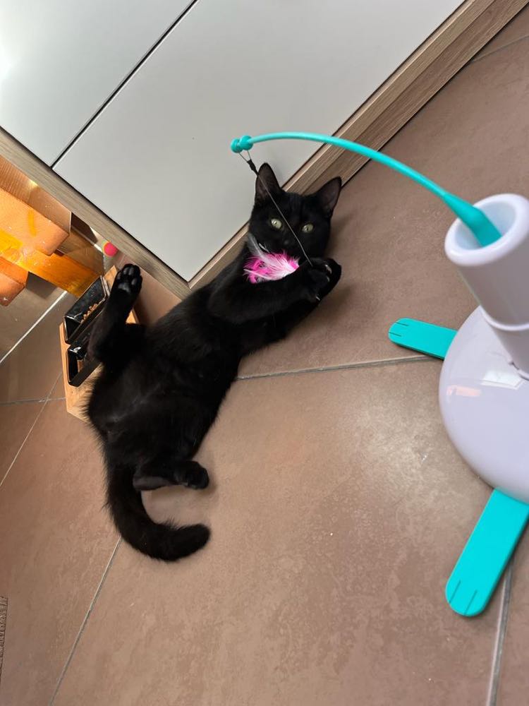 387531011_308948868524936_2893212501649202205_n