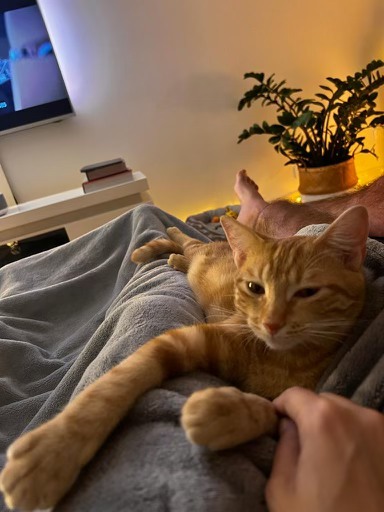 387532385_1472439813611771_6009749760103186255_n