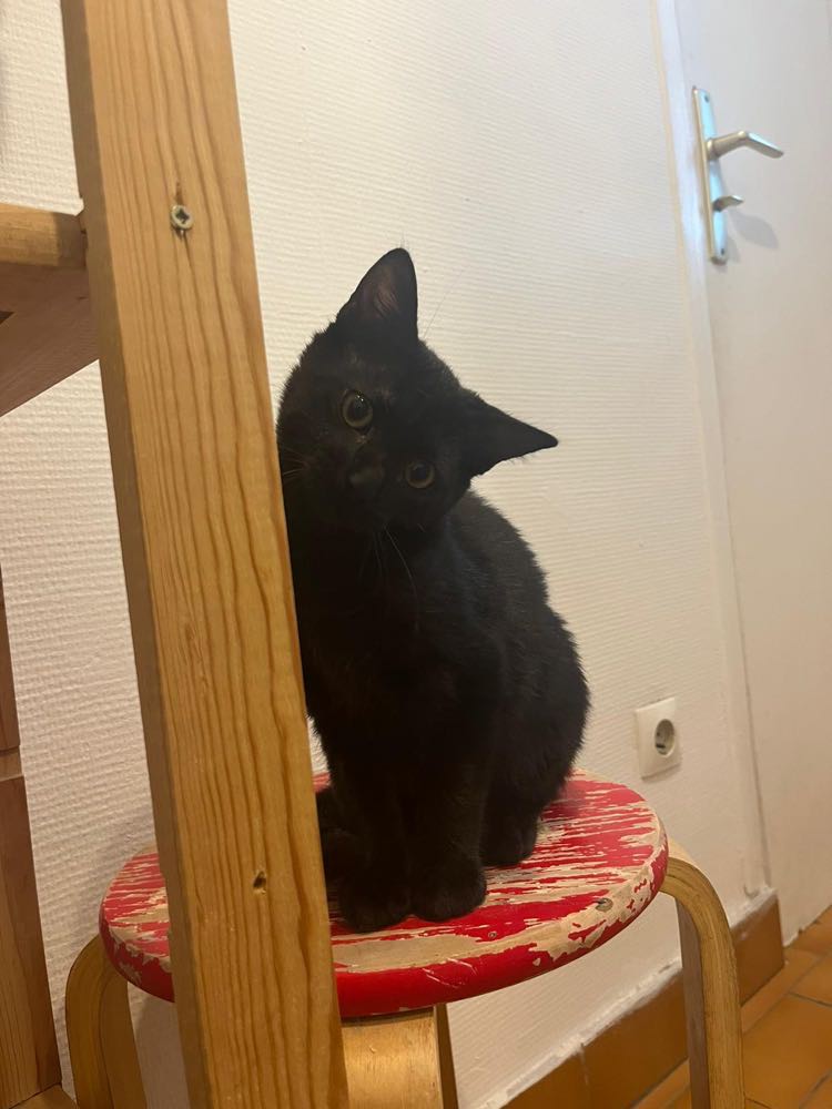 387550502_1372388780353797_6129434463231142378_n