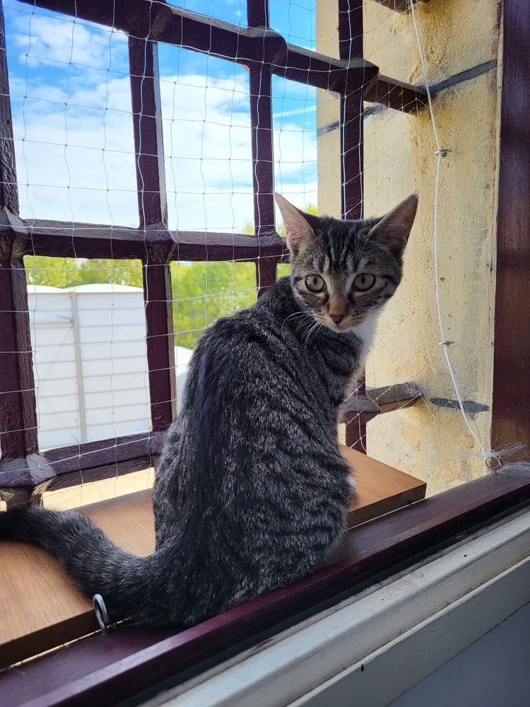 387553800_1721569878285254_2076422680586529809_n