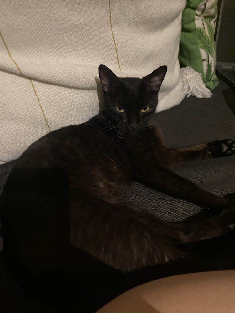 387554950_691795699495583_7432815038035322770_n