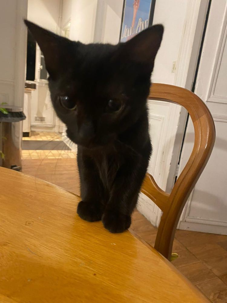 387561928_850489636687523_5719413412812824134_n