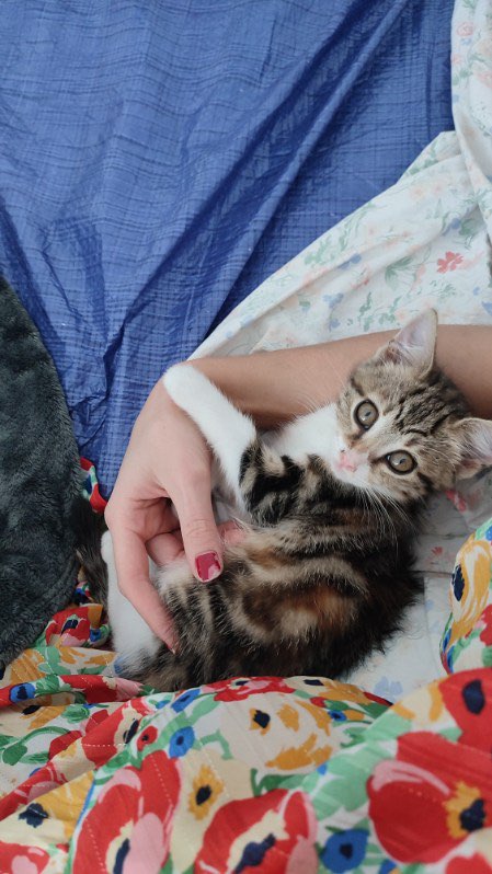 387588512_1002803124298276_6475610579314021522_n