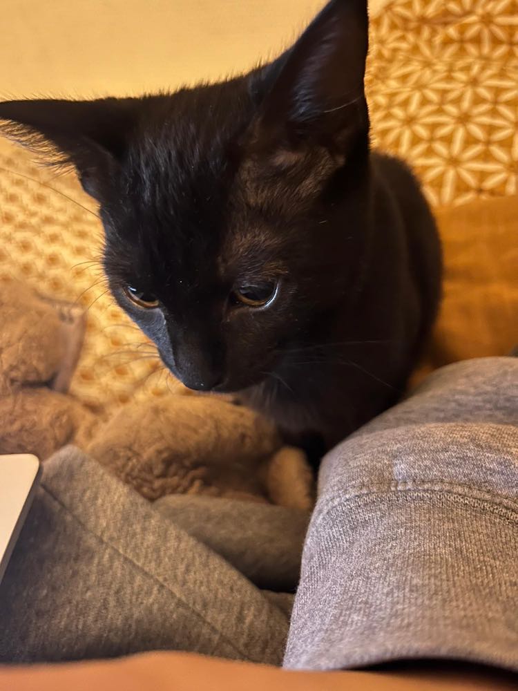 387606447_183223904756661_4626090168738760455_n