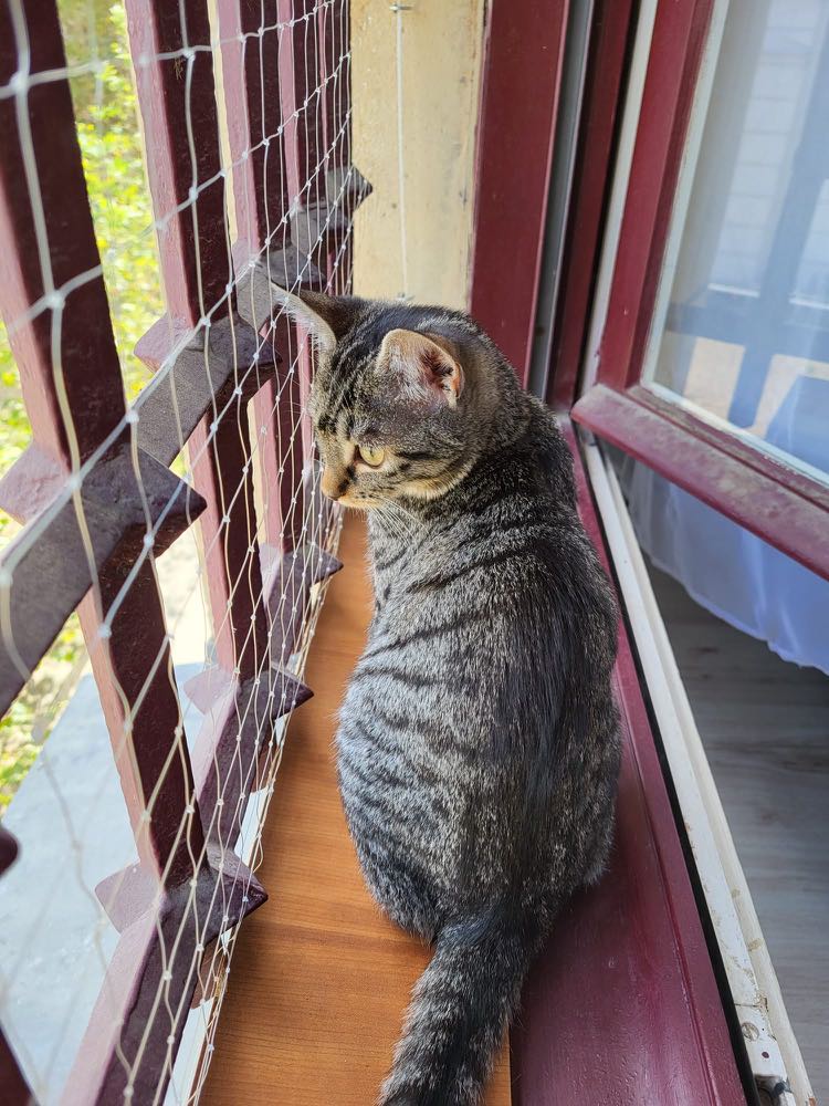 387617313_355745910212715_7871993213073607097_n