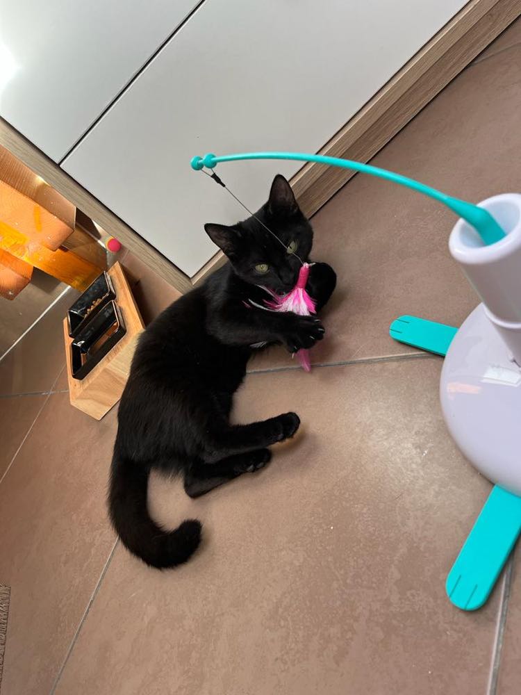 393305889_696733979143469_753726823055274870_n