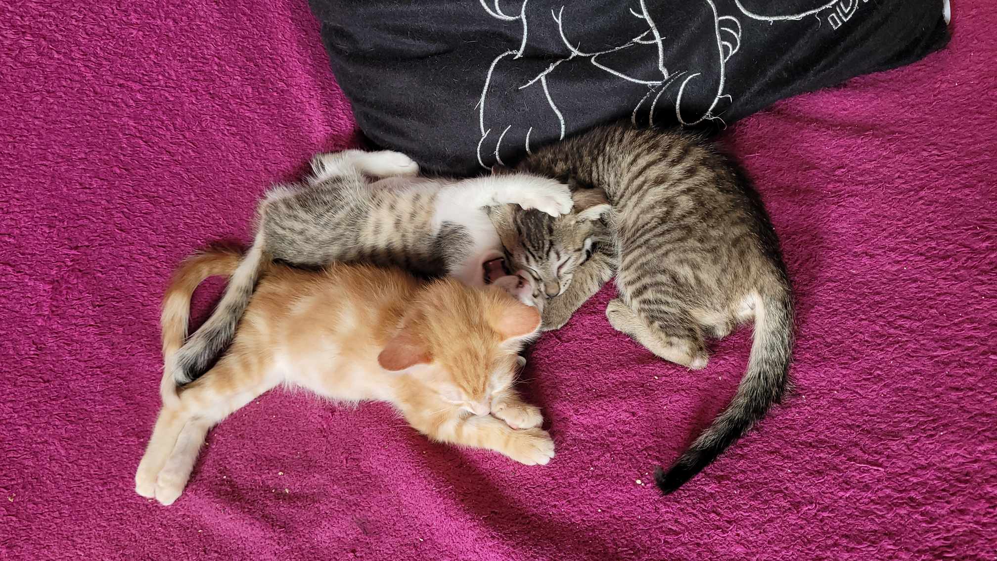 393457629_197414913384574_3813569729605428318_n