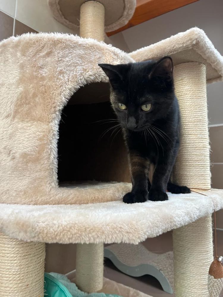 393462536_742767894344643_8772981194824957087_n