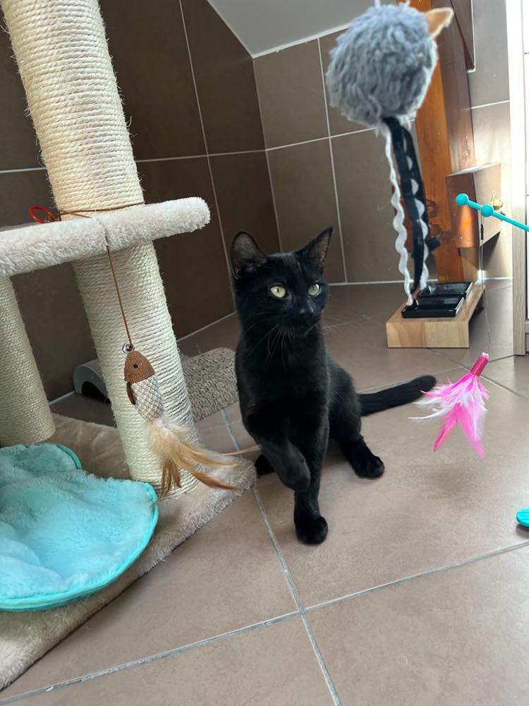 393464034_1192530235040260_5128771205649584575_n