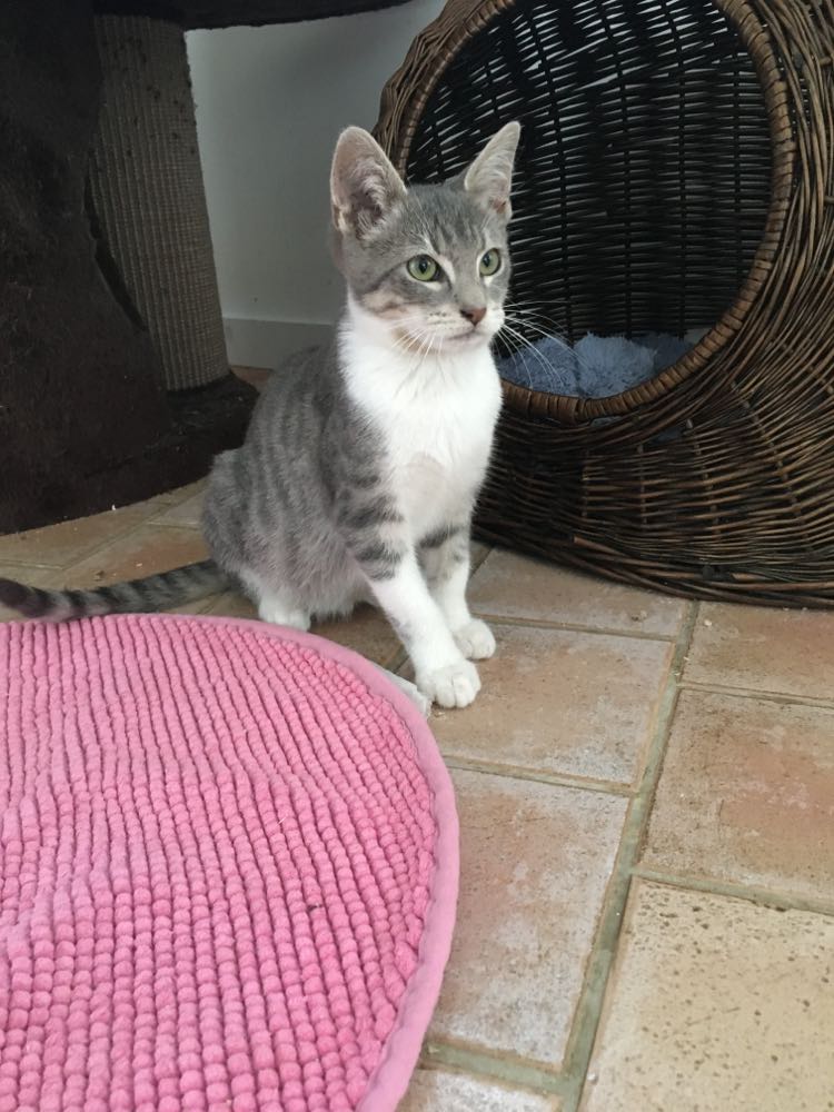 393464066_852741856528257_1887047149029591140_n