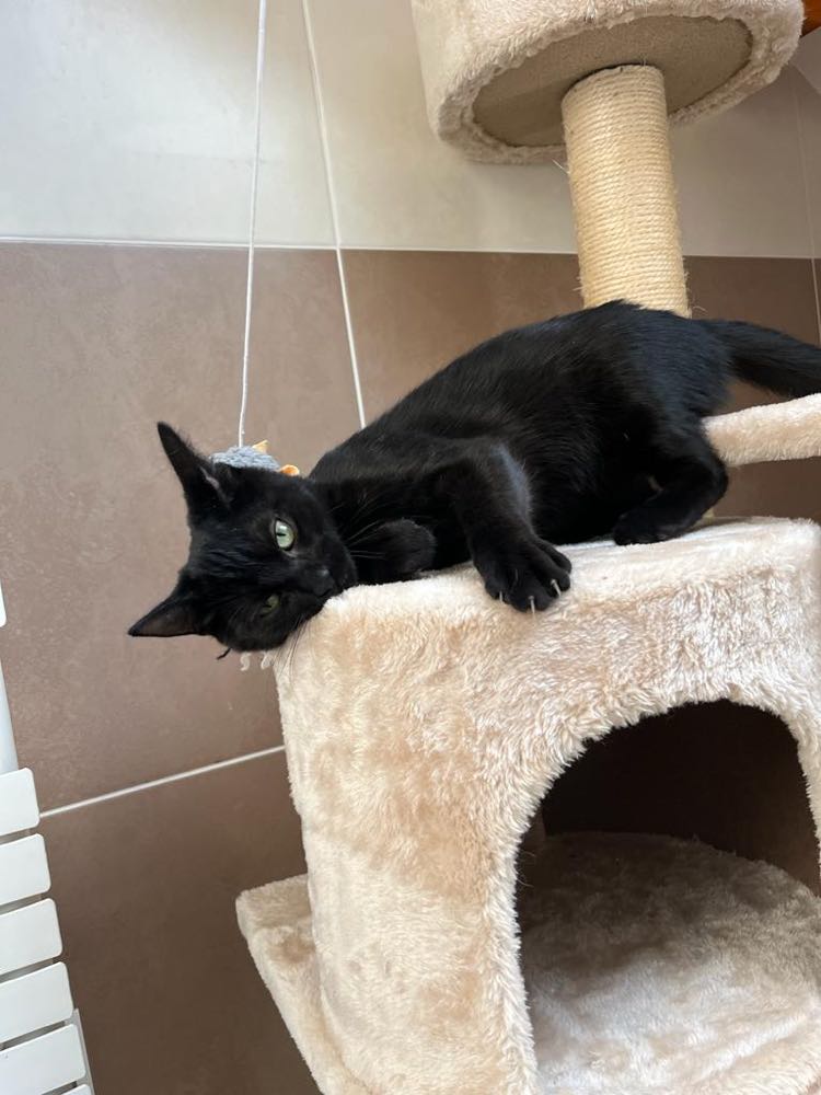 393485983_1600725484033503_8016716077383995000_n