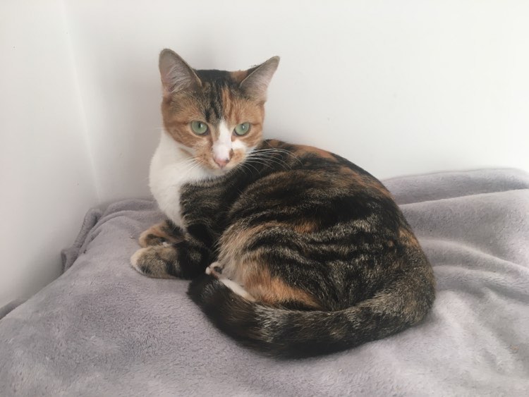 393686626_2252678288256106_2202397641871181372_n