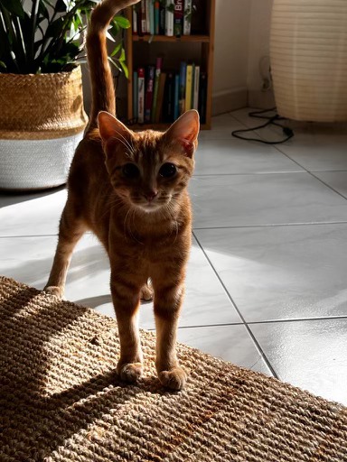 393749030_229596096792012_2515086054591146593_n