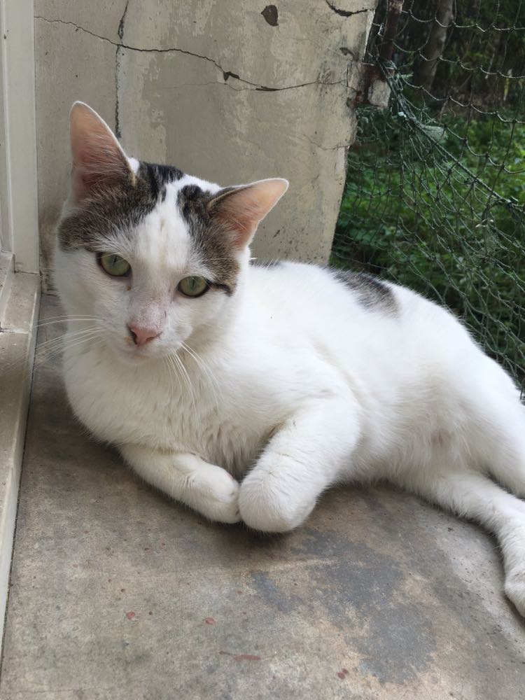 393806248_3525374891046974_4747570089146391448_n