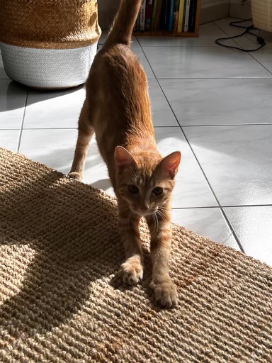 393832152_1055454858920650_6381516781212645136_n