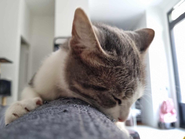 394031078_718234892970699_5830818174396210450_n