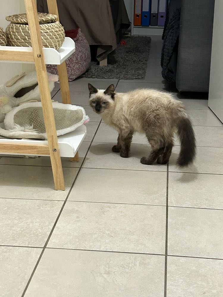 395089448_341133181912743_6570206560259468400_n