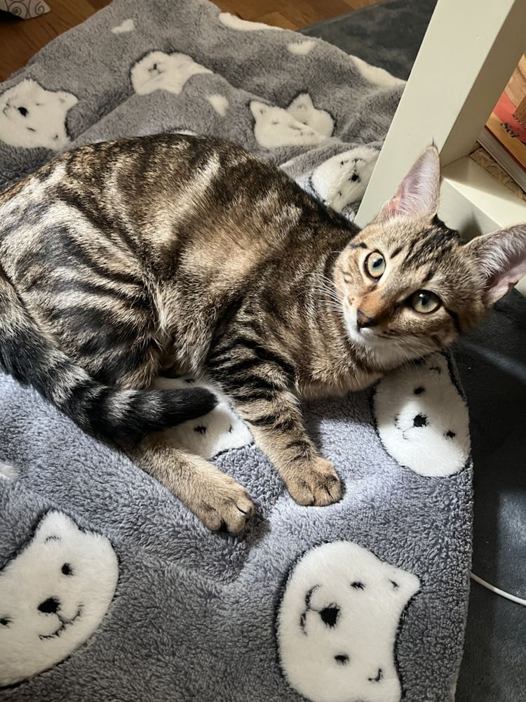 395271731_6816080488435012_8978310530487022863_n