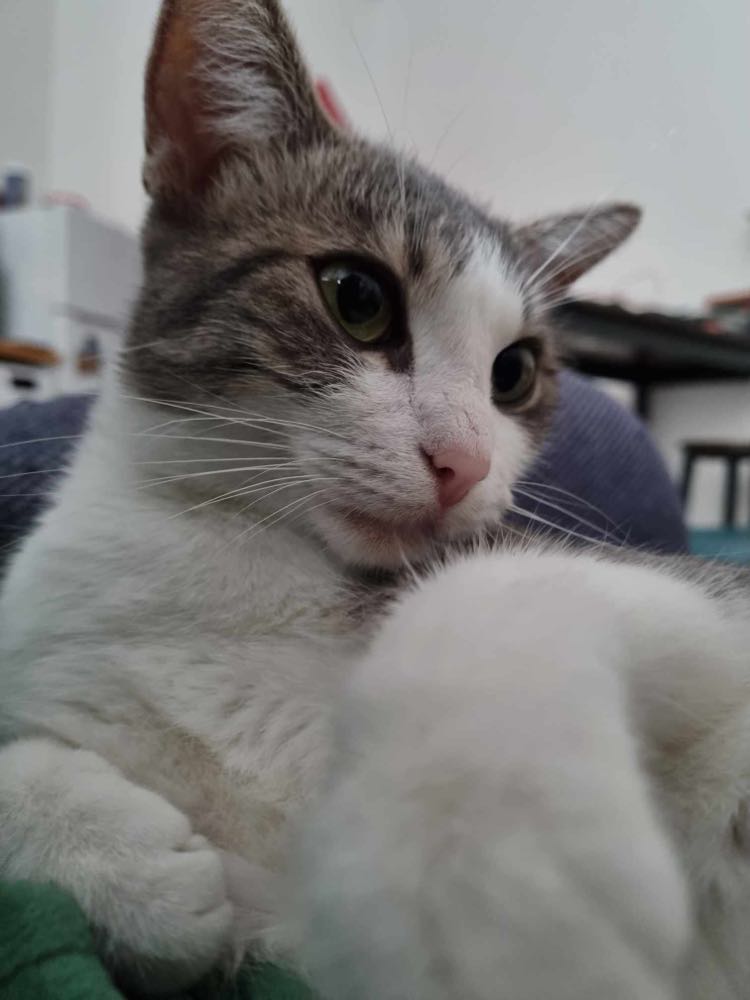 395343955_6363879617057080_6862467320764294923_n