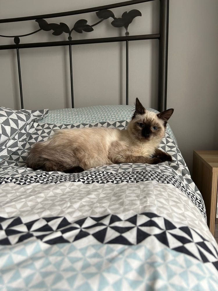 395389123_2006397339718521_7005980827993135634_n