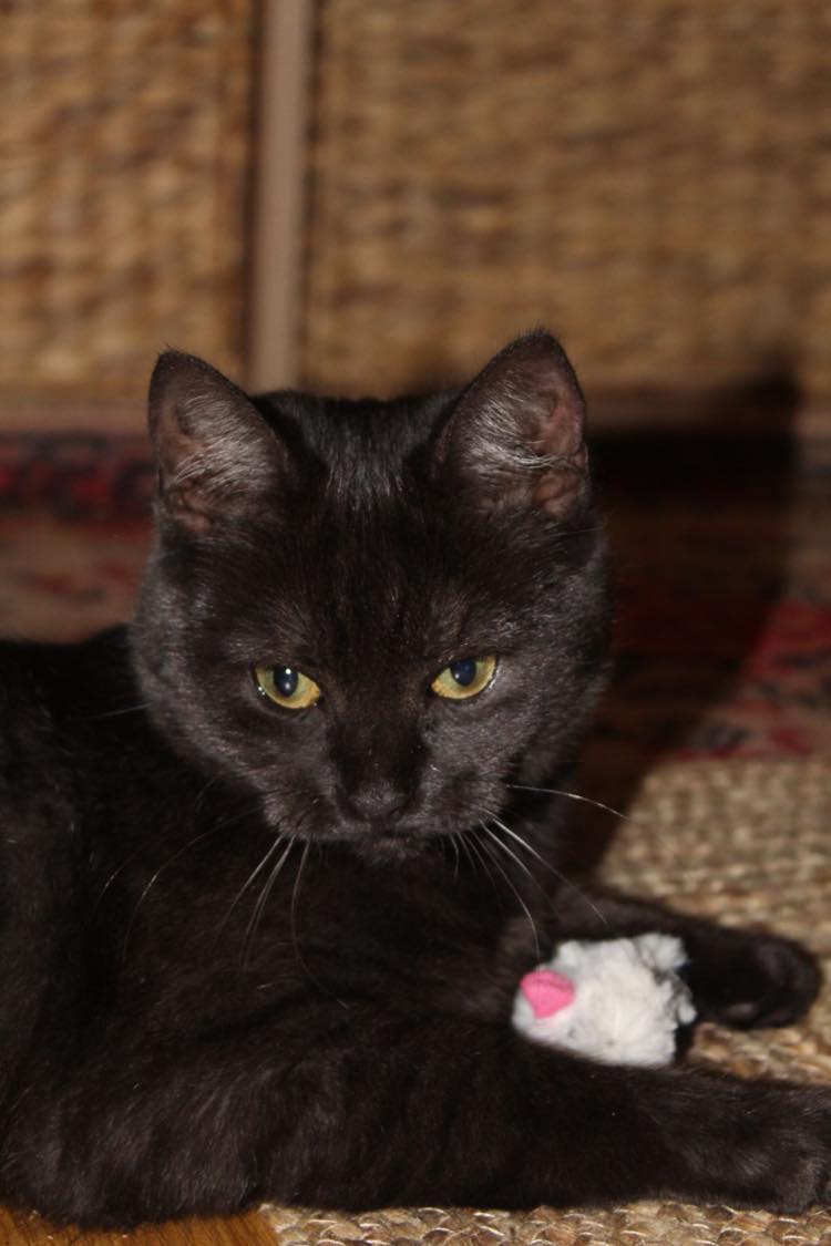 395527268_862964541962088_4903234024253222572_n