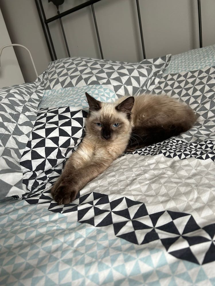 395654395_998661258098303_2435418504608702635_n