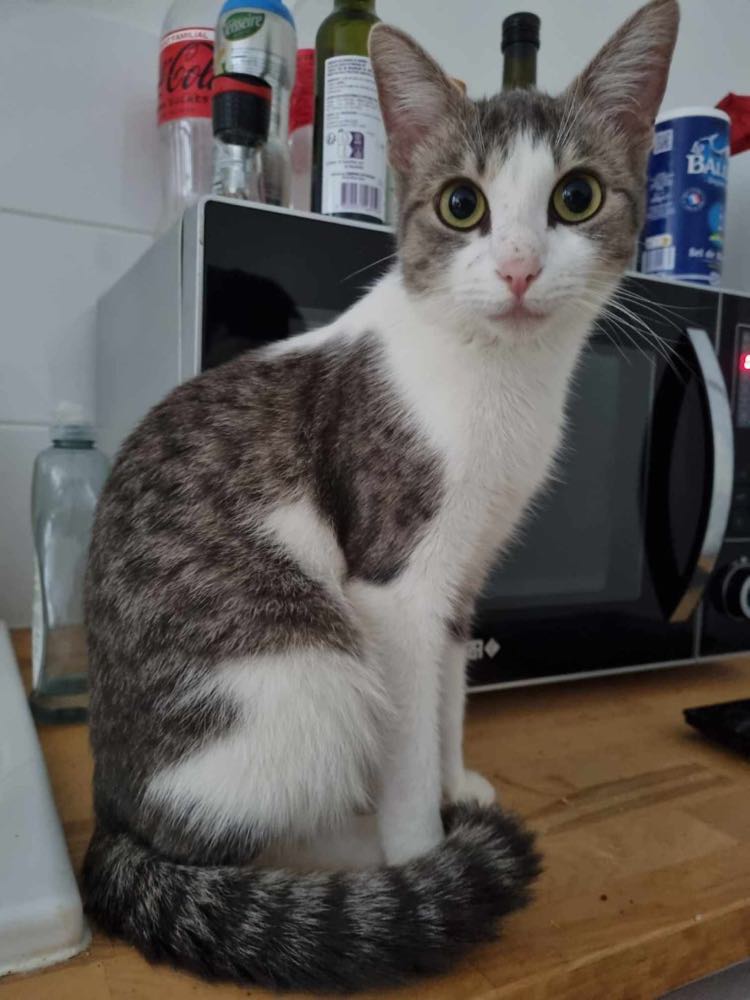 395669781_830163272237164_9022470963275466768_n