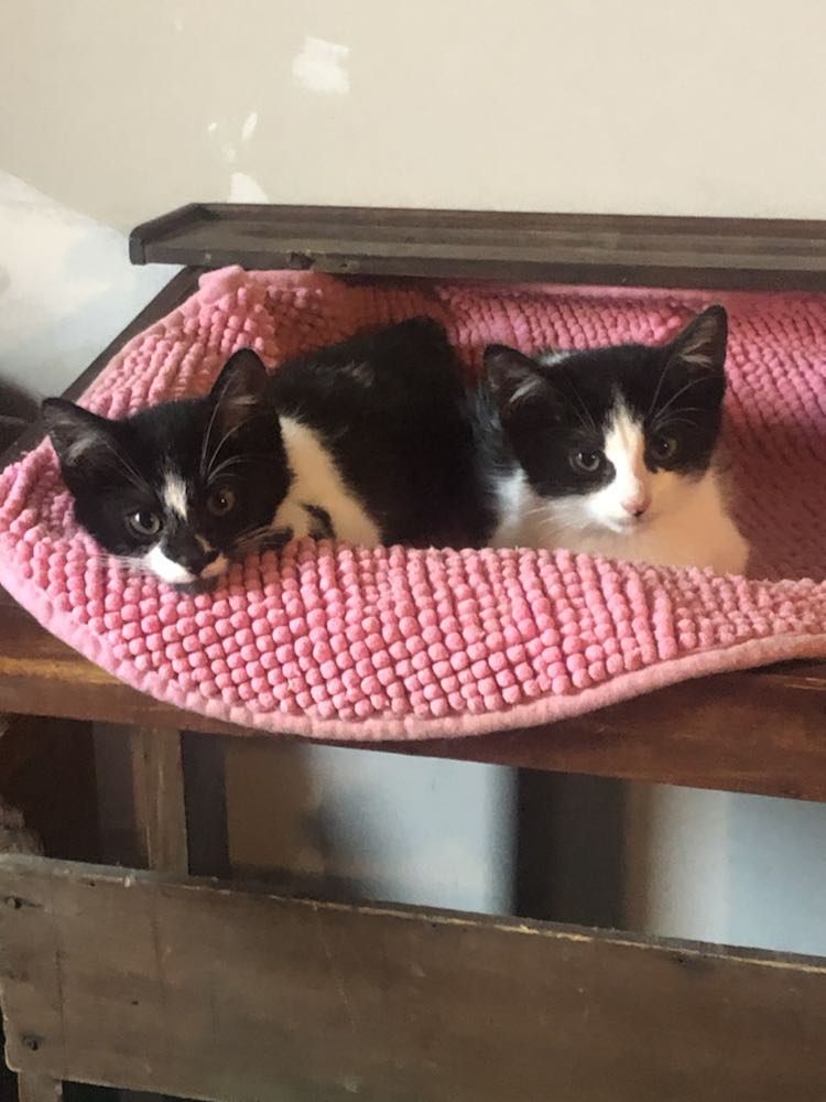 395752268_1005477290714142_1871842747465415416_n