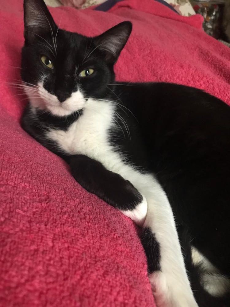 395755695_1526085438140609_1866486152799106926_n