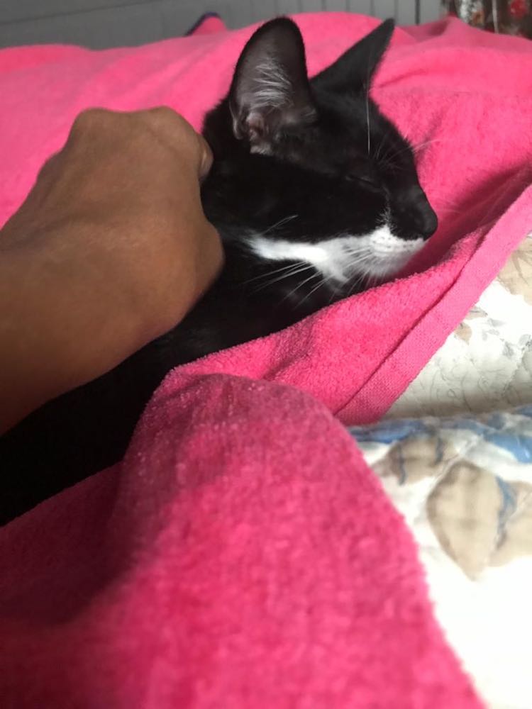 395777245_1021024889115008_1311891973422088135_n