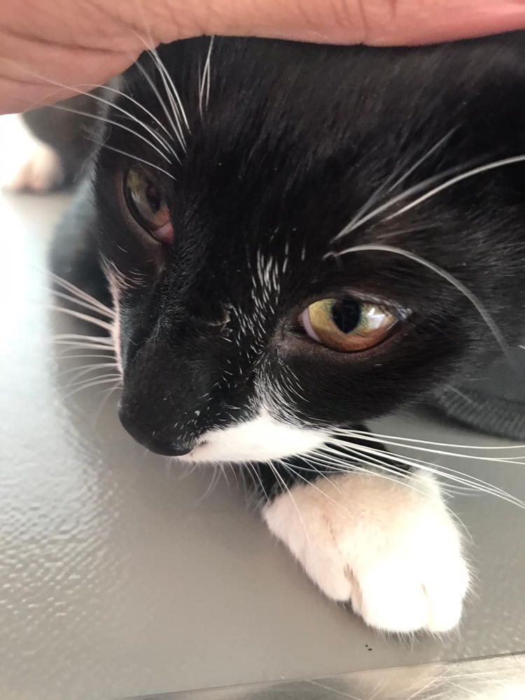 395808933_641694801197777_626385341182335576_n