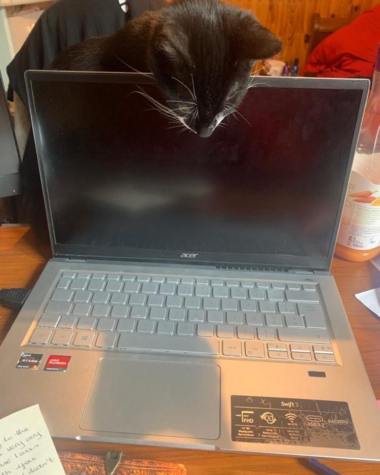 396130171_706932764664818_4146569459207950689_n