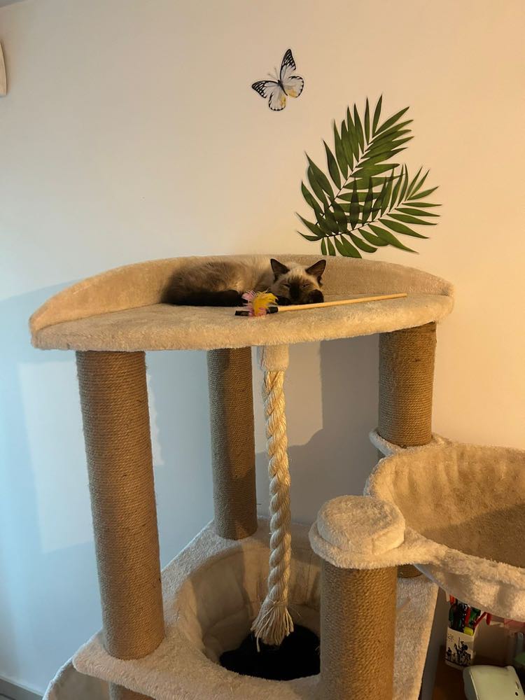 396672874_7463292897020843_8166491916693693130_n